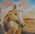 Paard