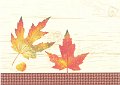 Herfstbladeren