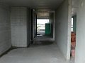 P1020407