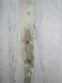 P1040485