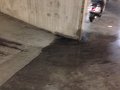 20160624 Waterinsijpeling -2