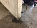 20161010 Waterinsijpeling -2