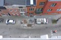 20161201 Riolering