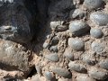 DSCN0110