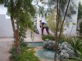 DSCN1451