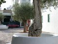 DSCN2093