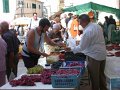 DSCN2415