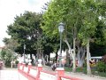DSCN3135