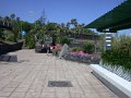 DSCN3237
