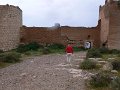 P1030312