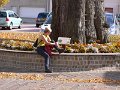 20081012_024