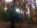 20081013_051