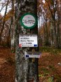 20081013_066
