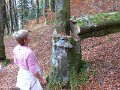 20081013_074