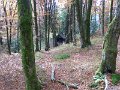20081013_076