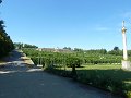 P1000952