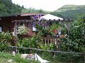 DSCN0739