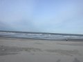 DSCN3566