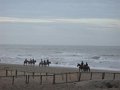 DSCN3593