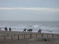 DSCN3594
