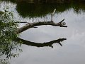 P1020370