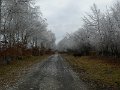P1030060