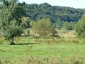 C1040881