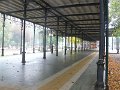 P1050605