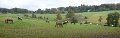 P1050613 panorama