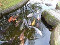 P1010684